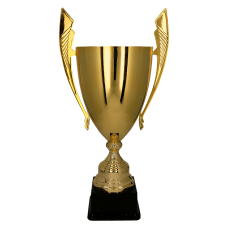 Cupa 57 cm, D200 mm, 1069A