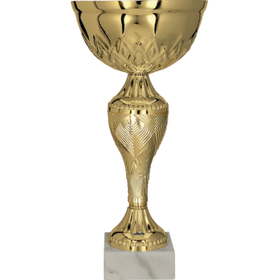 Cupa 21.5 cm, D100mm, 8366E