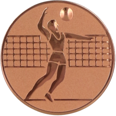 Centru p-u medalii D25mm, VOLEY BARBATI