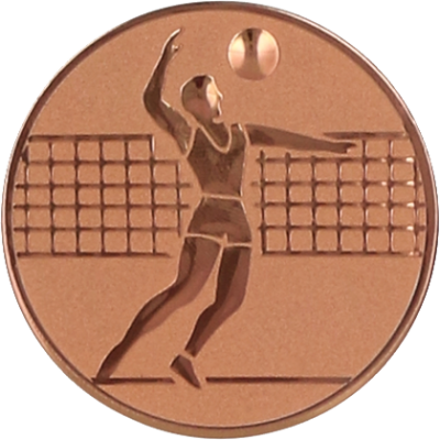 Centru p-u medalii D25mm, VOLEY BARBATI