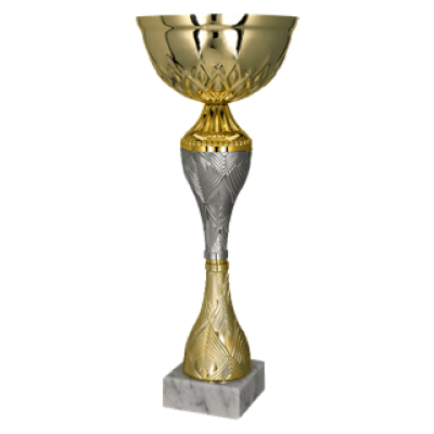 Cupa 23 cm, D80 mm, 9266F