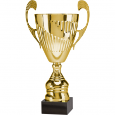 Cupa 31 cm, D120 mm, 7098D